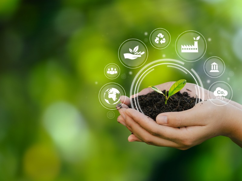 About Our Consulting Firm